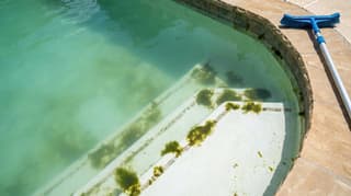 Green algae clinging to the steps and walls of a swimming pool, with a pool brush on the coping
