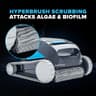 Bundle - Dolphin Cayman with NanoFilter MaxBin