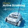 Dolphin E10 Robotic Pool Cleaner