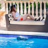 Dolphin Premier Robotic Pool Cleaner with Multi-Media, Oversized Leaf Bag, & 3 Year Warranty