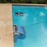 Dolphin Skimmi - Solar Powered Pool Skimmer