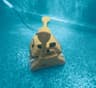 Dolphin Wave 100 Commercial Robotic Pool Cleaner