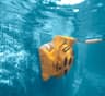 Dolphin Wave 100 Commercial Robotic Pool Cleaner